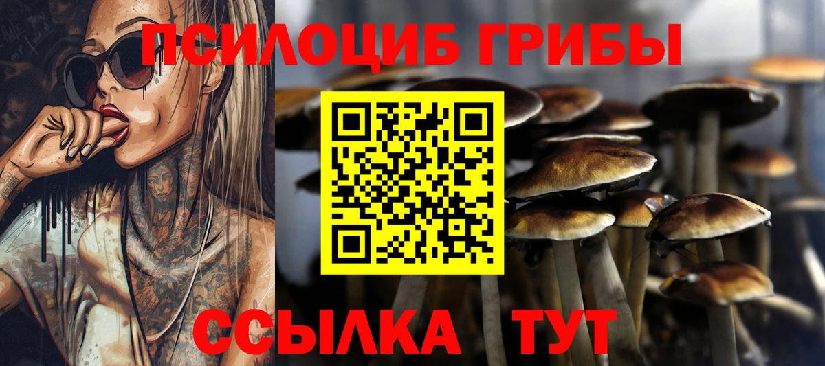 Псилоцибиновые грибы GOLDEN TEACHER Псков