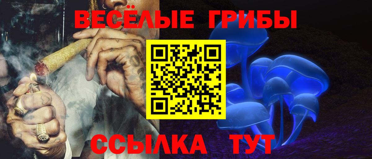 Псков  Галлюциногенные грибы Magic Shrooms  Вход с VPN 